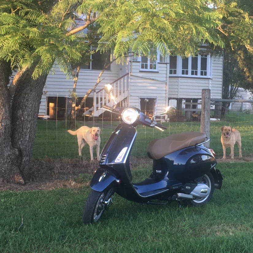 cropped-2b02ec60-eaeb-4047-a3d5-4dc6a7f4f2c6